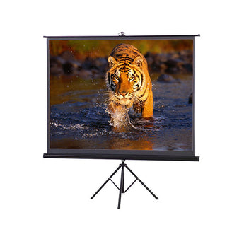 Projector Screen 120 Inch Tripod Portable 6x8 Feet 4:3mw Speed-x
