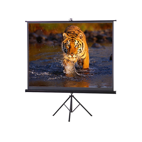 Projector Screen 120 Inch Tripod Portable 6x8 Feet 4:3mw Speed-x